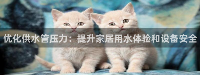 关键词