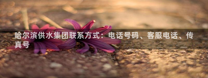 球友会qy