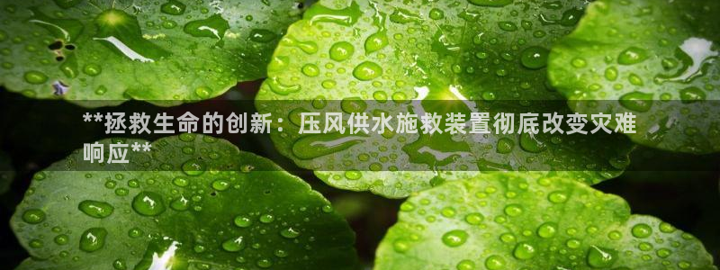 球友会比赛结果查询官网