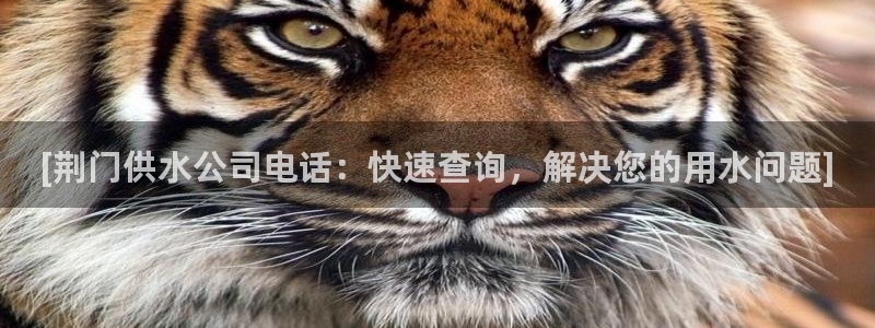 球友会app网址