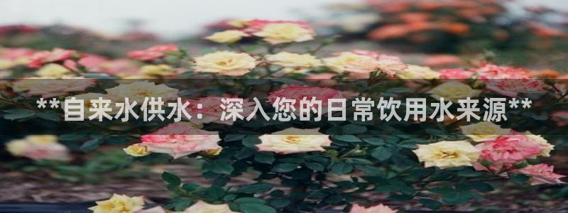 球友会体育app下载官网安卓
