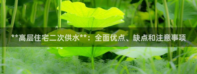 球友会破解码