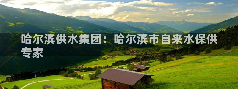 球友会提现不到账
