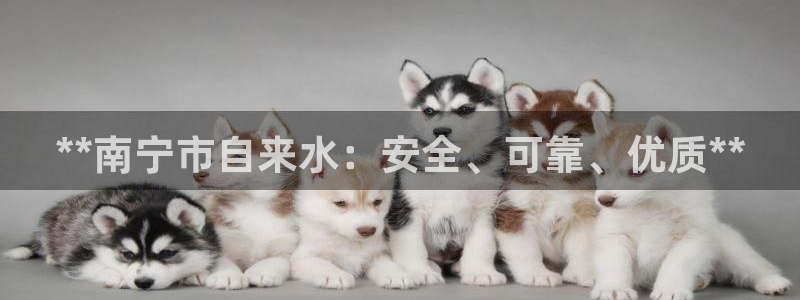 qy球友会体育官网下载