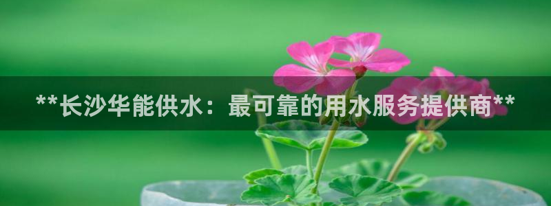 球友会qyh88bet