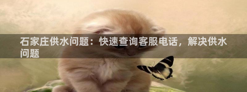 球友会apy