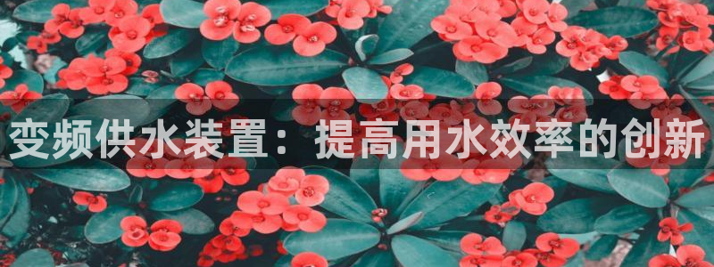 球友会app官方网站下载