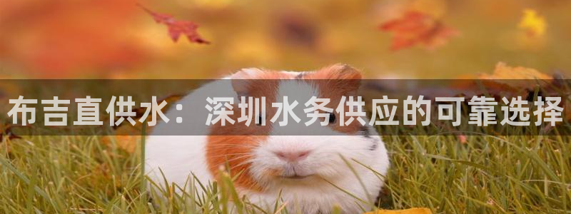球友会体育app下载安卓