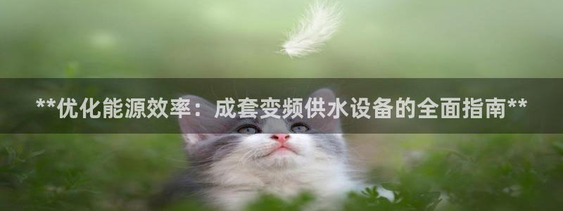 球友会体育官网