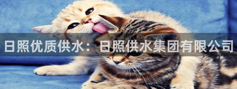 qy球友会体育