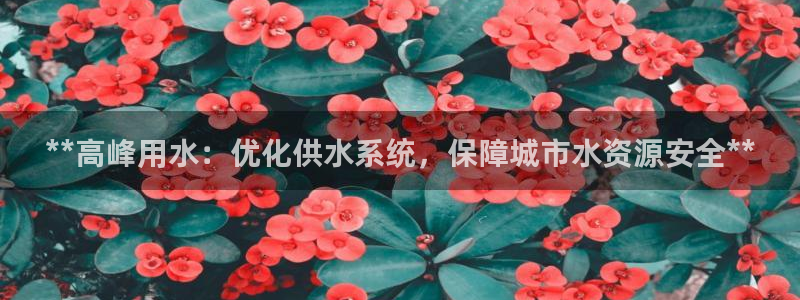 球友会下载安装