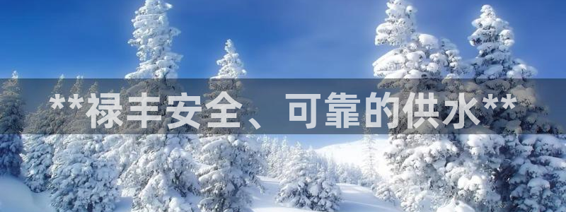 qy球友会体育官网下载