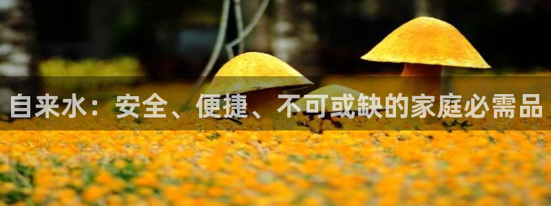 qy球友会体育