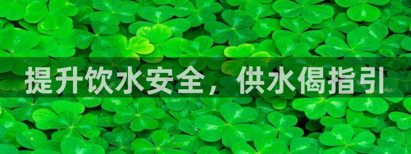 qy球友会体育官下载