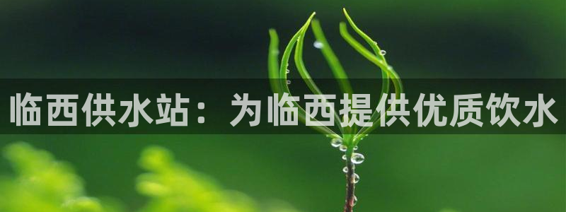 球友会登陆
