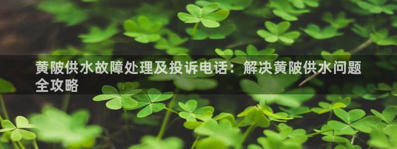球友会下载
