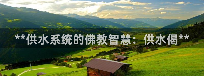 球友会qy怎么进不去