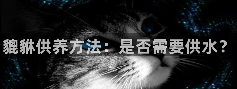 球友会骂客服封号